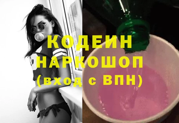 индика Горно-Алтайск