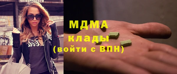 индика Горно-Алтайск