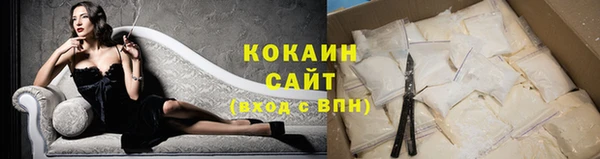 индика Горно-Алтайск