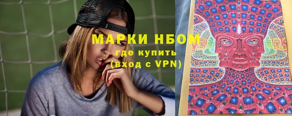 индика Горно-Алтайск