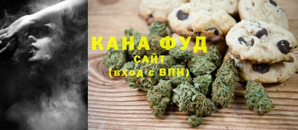 индика Горно-Алтайск