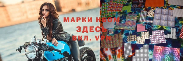 индика Горно-Алтайск