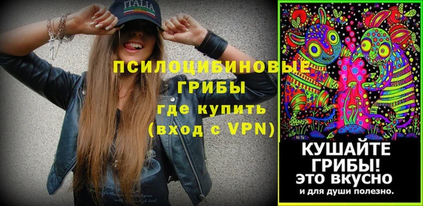 mix Горняк