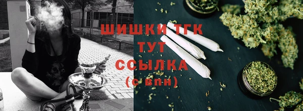 apvp Гусь-Хрустальный