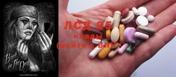 сатива Гусиноозёрск